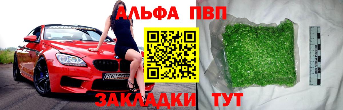 A-PVP СК Новодвинск