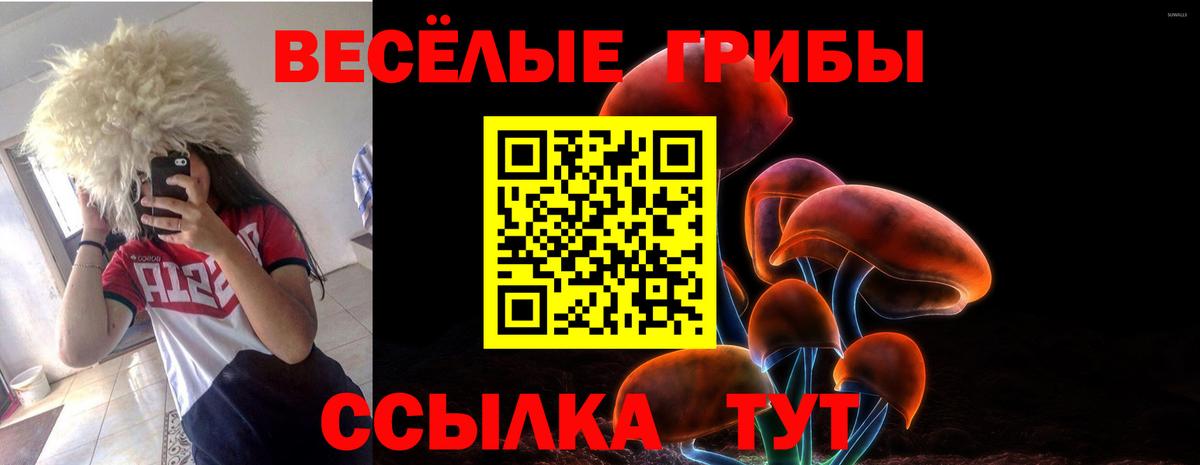 Псилоцибиновые грибы Psilocybe Новодвинск