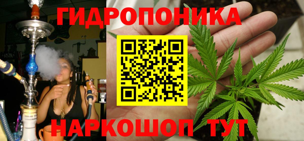 Каннабис семена Новодвинск